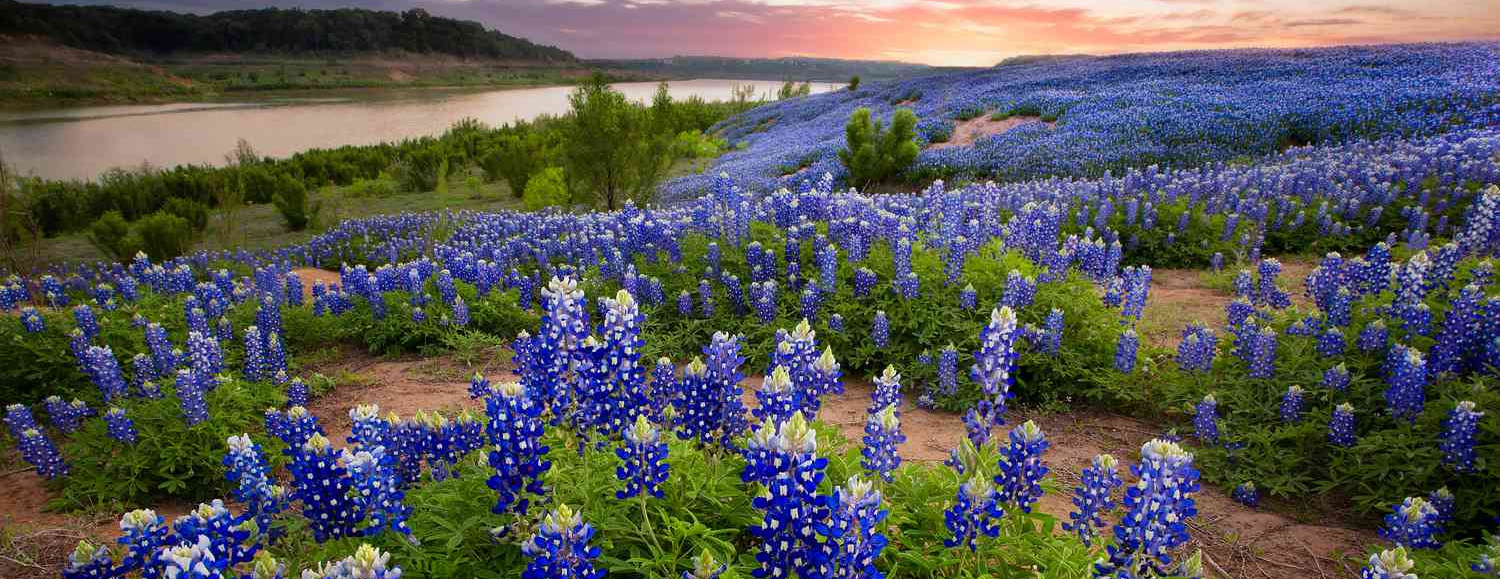 Garden Plant Store -Garden Plant Store 3