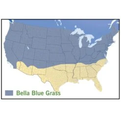 Bella™ Bluegrass Grass Plugs -Garden Plant Store bella blue grass map